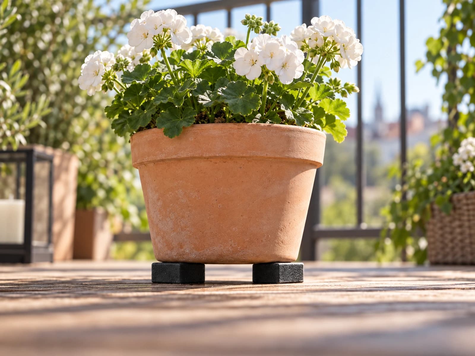 Lichte bloempot op een balkon, verhoogd op Flore Pads Soft